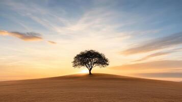 A lone tree stands on a hill in the middle of a field photo