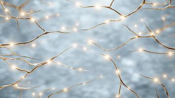 A close up of a bunch of branches with lights photo