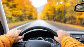 Autumn driving tips for safe and enjoyable autumn road trips photo