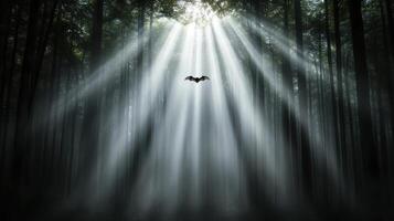 A bat flies through the forest with rays of light photo