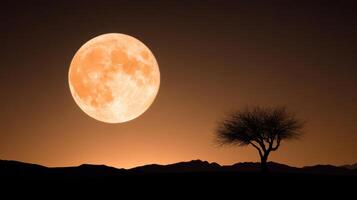 A full moon is seen over a tree in the evening photo