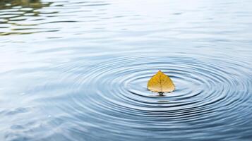 A single leaf floating in the water photo