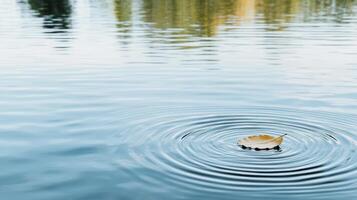 A leaf floating in the water photo