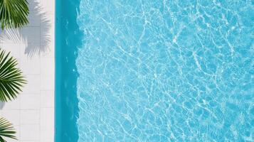 Top view of a swimming pool with palm trees photo