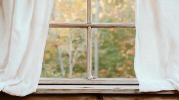 A window with white curtains and a view of trees photo