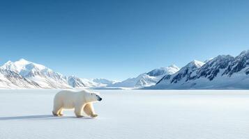 A polar bear walking across a snowy field photo