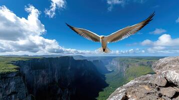 A bird flying over a cliff photo