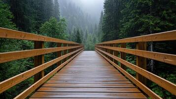 Wooden bridge in the forest photo
