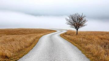 A lone tree stands on a lonely road in the middle of a field photo