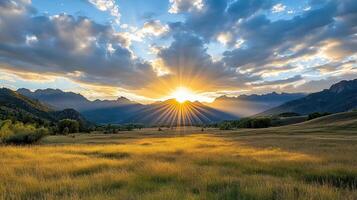 A beautiful sunset over a grassy field photo
