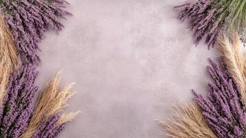 Lavender flowers and dried grass on a pink background photo