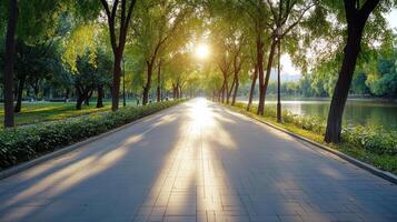 A pathway lined with trees and a lake photo