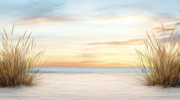 Beach sand and grass with sunset sky background photo