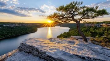 A lone tree stands on a cliff overlooking a river at sunset photo