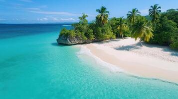 Beach in dominica, caribbean photo