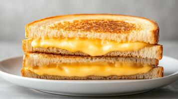 A stack of two grilled cheese sandwiches on a plate photo