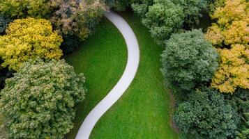 An aerial view of a path through a green park photo