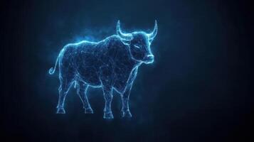 Bull stock photo