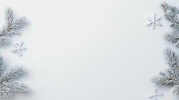 Christmas tree branches on white background photo