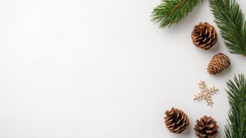 Christmas tree branches and cones on white background photo