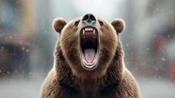A bear is roaring in the rain photo