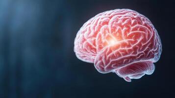 A human brain with a glowing light photo