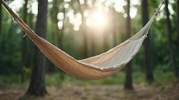 A hammock in the woods with the sun shining through photo