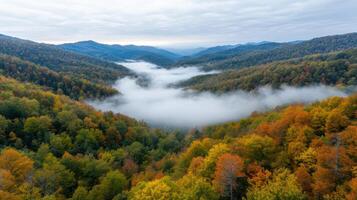 serene valley enveloped in mist, showcasing vibrant fall colors and rolling hills photo