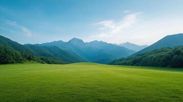 Green grass and mountains in the background photo