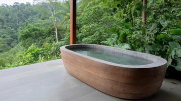 A large tub sitting on a patio overlooking the jungle photo