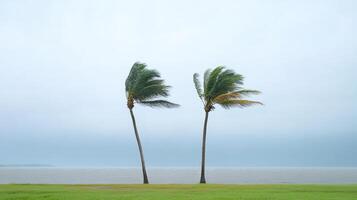 Two palm trees blowing in the wind near the ocean photo