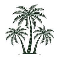CoconutTree with Leaves Illustration vector