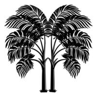 Coconut Palm Tree with Tropical Leaves Illustration vector
