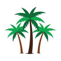 Coconut Palm Tree with Leaves Illustration vector