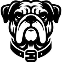 Tattoo of serious Bulldog dog head in monochrome. Bulldog dog portrait in collar. Engraving minimalistic image in black ink drawing on white background vector