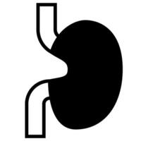 Abstract Illustration of a Kidney solid icon vector