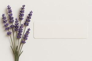 Lavender Bouquet With Blank Label on a Neutral Background for Decor Inspiration photo