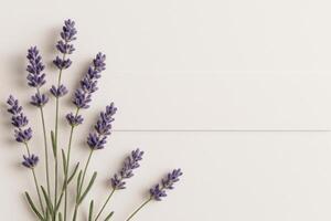 Fresh Lavender Stems Arranged Elegantly on a Light Background for a Calming Atmosphere photo