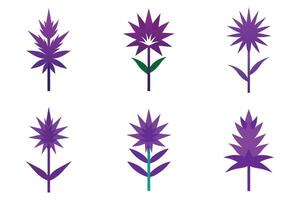 Colorful Purple Flower Icons Set vector