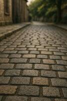 Cobblestone Pathway Winding Through a Quiet Historic Town in Soft Evening Light photo