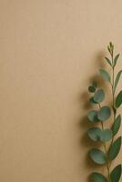 Eucalyptus Branch Against a Plain Brown Background for Natural Decoration and Design Inspiration photo