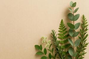 Fresh Green Herbs and Leaves Arranged on a Light Background for Creative Projects and Designs photo