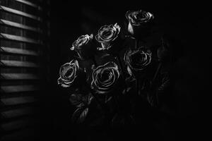 Black Roses in Soft Light With Shadowy Blinds Creating a Dramatic Atmosphere photo