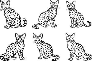four different types of serval cats in different poses vector