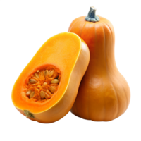 A vibrant butternut squash halved and whole showing seeds and flesh a delicious autumnal vegetable isolated on white or transparent background png