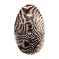 Detailed Closeup of a Fingerprint in Black and White Showing Unique Ridge Patterns and Texture isolated on white or transparent background png