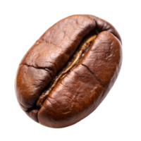 Closeup of a Single Roasted Coffee Bean Showing Rich Brown Color and Texture Details isolated on white or transparent background png