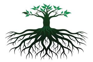 Roots, Reaching for the Sky A powerful tree graphic. vector