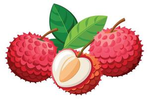 Vibrant illustration of two lychees, one halved, on a white background. vector