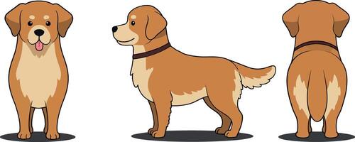 A cheerful golden retriever dog illustrated in a flat, minimal style showcasing three distinct views in vibrant art vector
